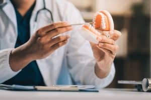 doctor holding up a denture model for a patient