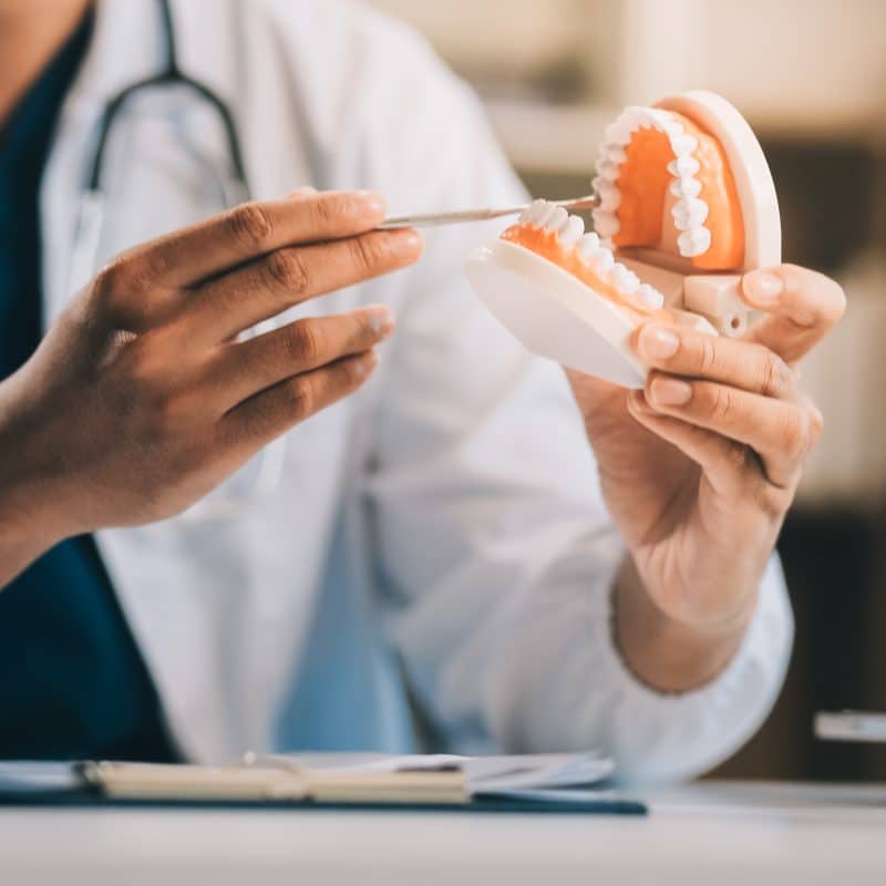 doctor holding up a denture model for a patient